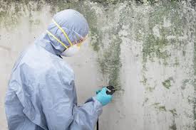 Best Attic Mold Removal  in Hughson, CA